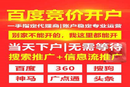 竞价SEM策略在金融行业的成功实践